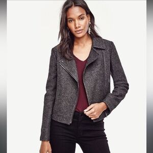 Ann Taylor Gray Wool Blend Moto Jacket size XL NWT!